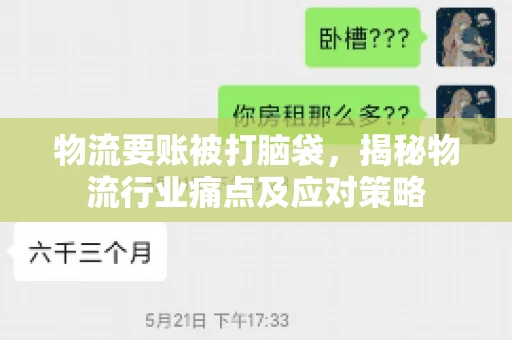 物流要账被打脑袋，揭秘物流行业痛点及应对策略