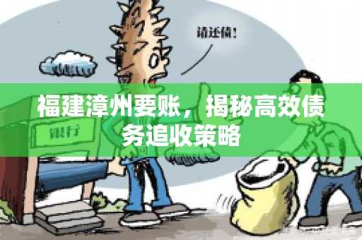 福建漳州要账，揭秘高效债务追收策略