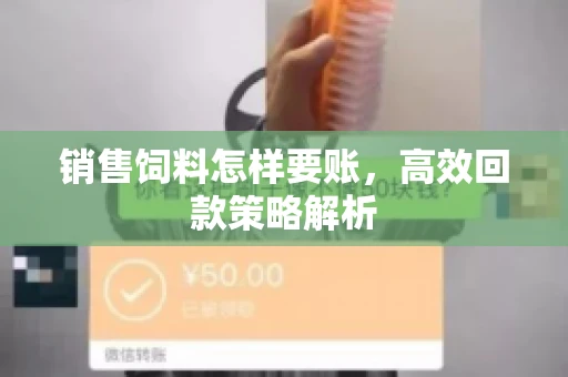 销售饲料怎样要账，高效回款策略解析
