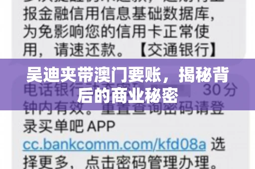 吴迪夹带澳门要账，揭秘背后的商业秘密