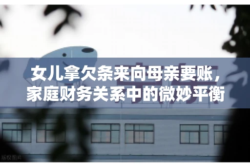 女儿拿欠条来向母亲要账，家庭财务关系中的微妙平衡