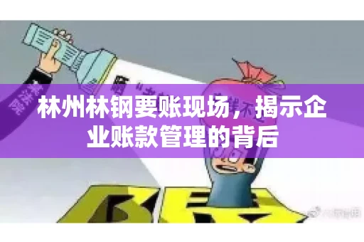林州林钢要账现场，揭示企业账款管理的背后