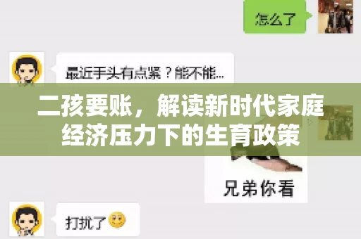 二孩要账，解读新时代家庭经济压力下的生育政策