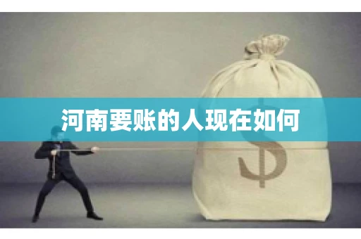 河南要账的人现在如何
