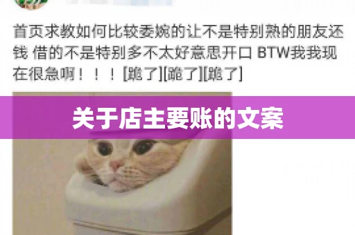 关于店主要账的文案