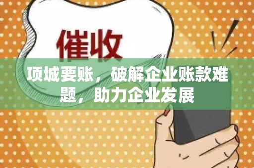 项城要账，破解企业账款难题，助力企业发展