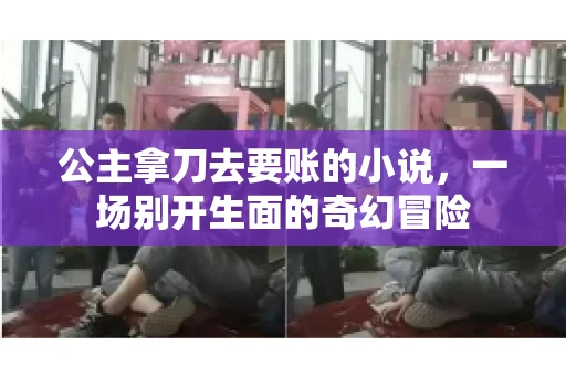 公主拿刀去要账的小说，一场别开生面的奇幻冒险