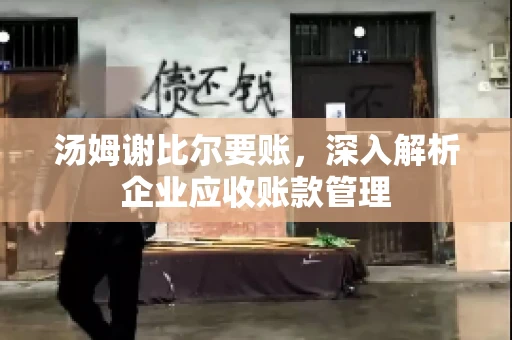 汤姆谢比尔要账，深入解析企业应收账款管理