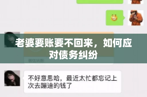 老婆要账要不回来，如何应对债务纠纷