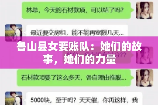 鲁山县女要账队：她们的故事，她们的力量