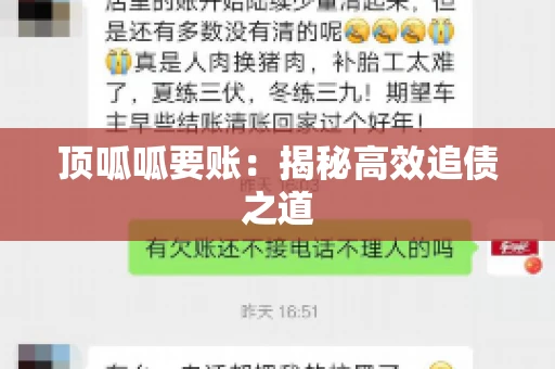 顶呱呱要账：揭秘高效追债之道