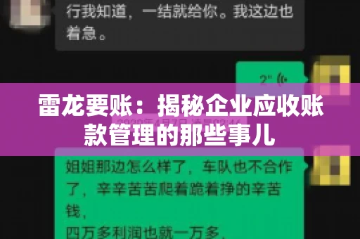 雷龙要账：揭秘企业应收账款管理的那些事儿
