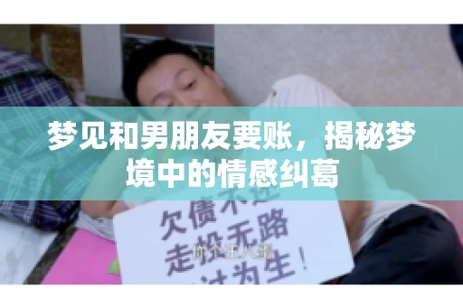 梦见和男朋友要账，揭秘梦境中的情感纠葛