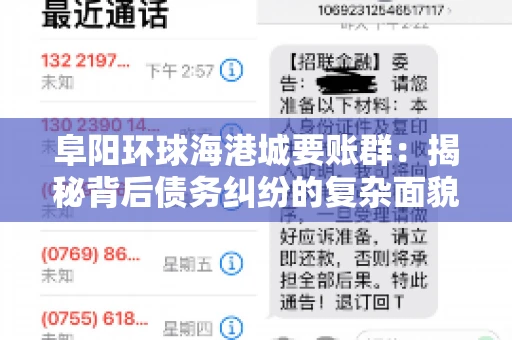 阜阳环球海港城要账群：揭秘背后债务纠纷的复杂面貌