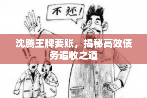 沈腾王牌要账,揭秘高效债务追收之道 沈腾王牌要账,揭秘高效债务追收之道