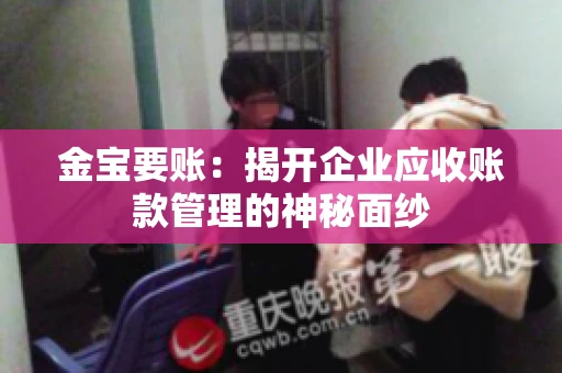 金宝要账：揭开企业应收账款管理的神秘面纱