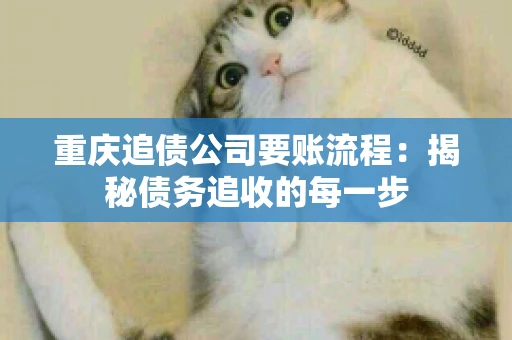 重庆追债公司要账流程：揭秘债务追收的每一步