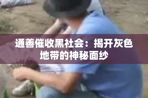 通善催收黑社会：揭开灰色地带的神秘面纱