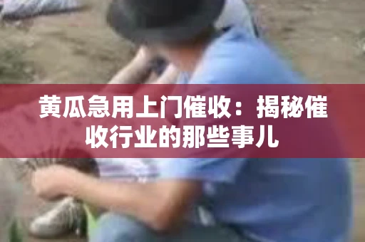黄瓜急用上门催收：揭秘催收行业的那些事儿