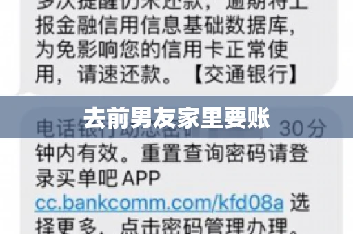 去前男友家里要账