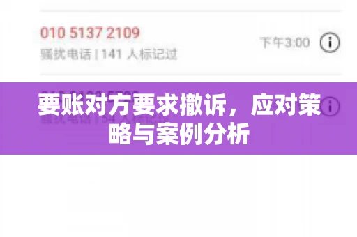 要账对方要求撤诉，应对策略与案例分析